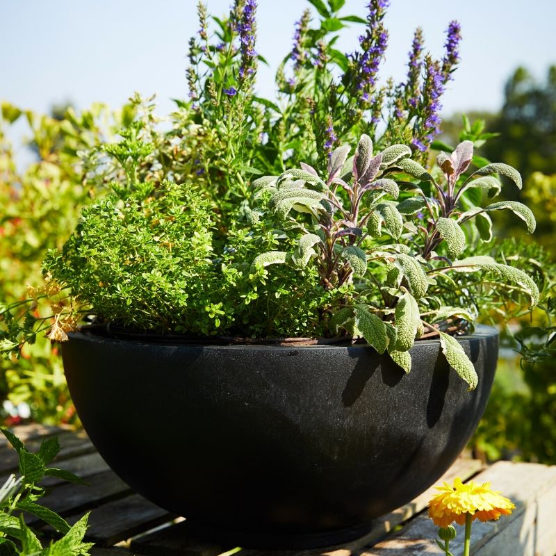 Polystone Bowl planter (49Ø x 21cm, Black)