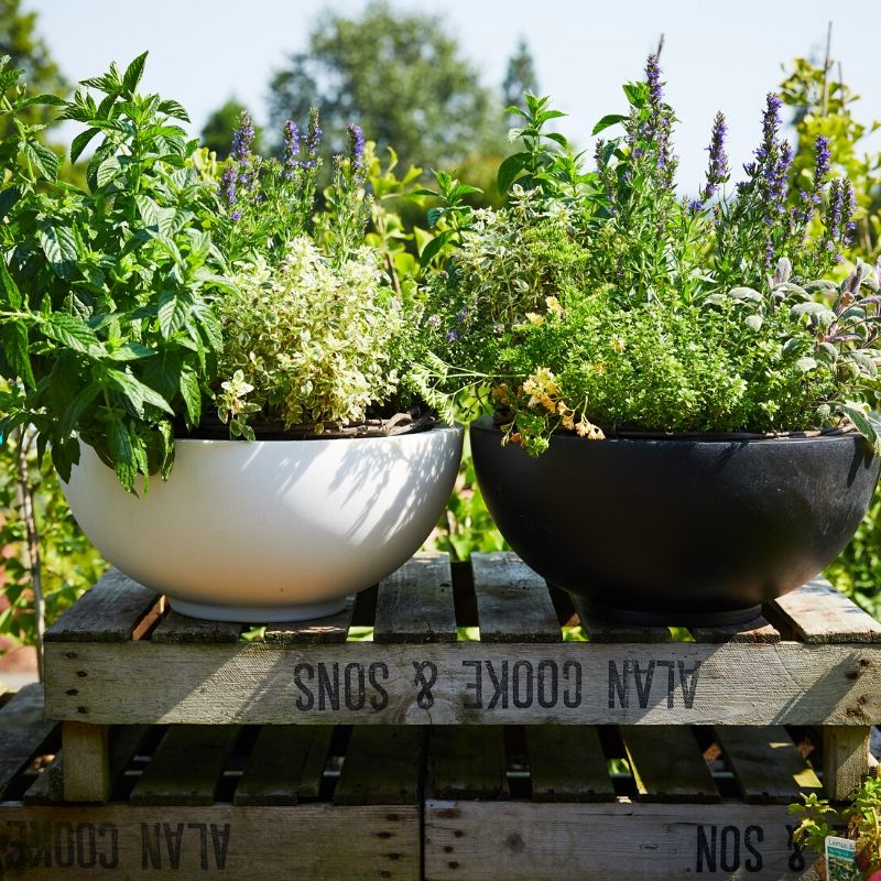 Polystone Bowl planter (49Ø x 21cm, White)