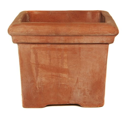 Terracotta Baytree Square planter (65 x 65 x 56cm)